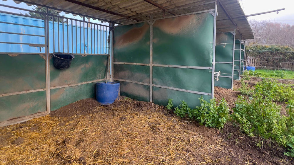 � vendre  Maison Saint-R�my-de-Provence (13210)