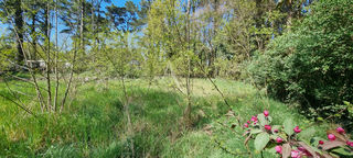  Terrain � vendre 2663 m�