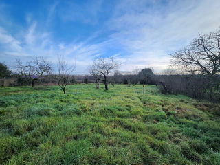  Terrain � vendre 1646 m�