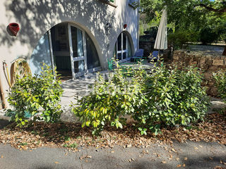  Appartement � louer 2 pi�ces 42 m�