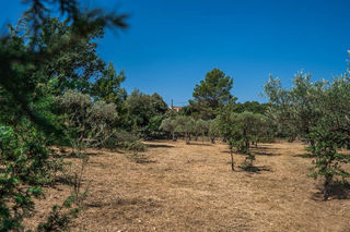  Terrain � vendre 1615 m�