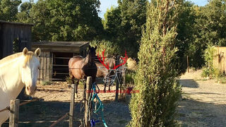  Maison � vendre 5 pi�ces 148 m�