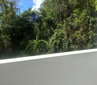  Appartement � louer 2 pi�ces 33 m�