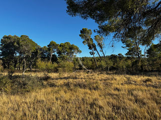  Terrain � vendre 4795 m�