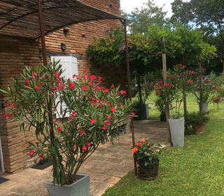  Maison � vendre 7 pi�ces 228 m�