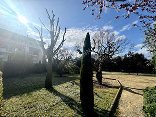  Appartement � louer 2 pi�ces 37 m�