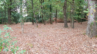  Terrain � vendre 591 m�