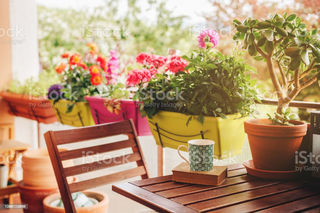  Appartement � vendre 4 pi�ces 83 m�