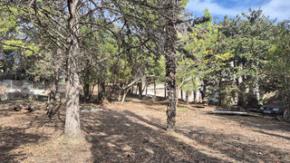  Terrain � vendre 772 m�