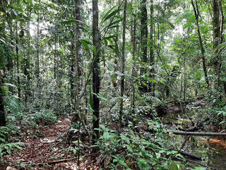  Terrain � vendre 16600 m�