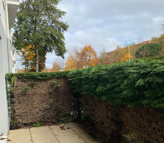  Appartement � vendre 3 pi�ces 60 m�