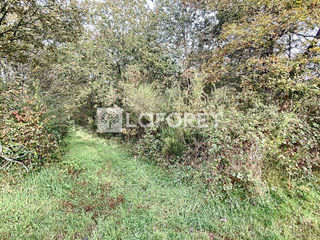  Terrain � vendre 5000 m�