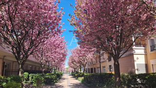  Appartement � vendre 3 pi�ces 70 m�