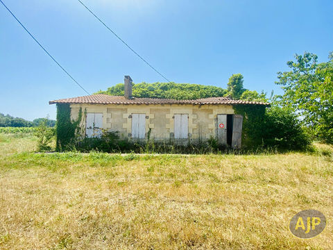   Ruine avec 1ha de terrain au milieu des vignes ! Maison - 3 pi�ce(s) - 58 m�