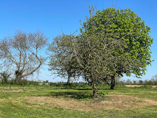  Terrain � vendre 1 m�