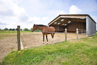  Maison � vendre 10 pi�ces 521 m�