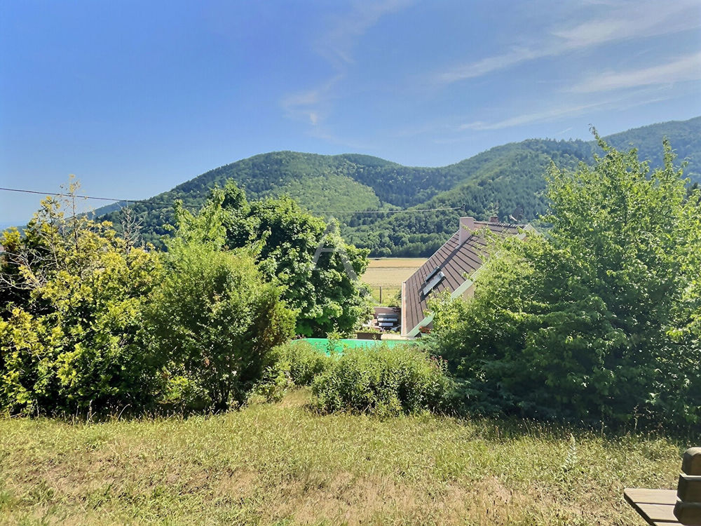 � vendre  Maison Lautenbach (68610)