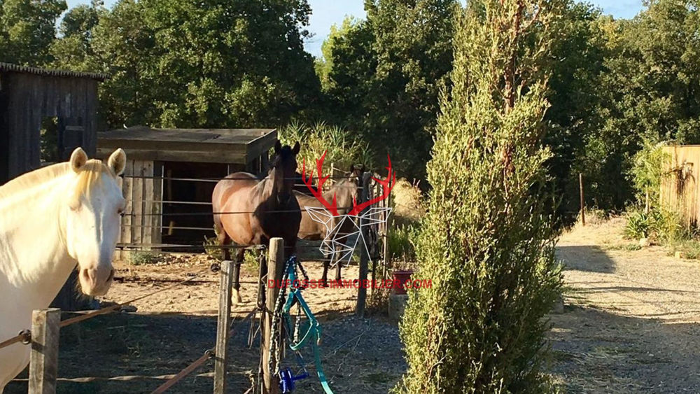 � vendre  Maison B�ziers (34500)