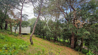  Terrain � vendre 2516 m�