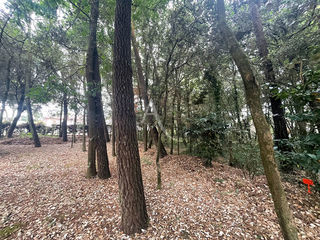  Terrain � vendre 282 m�