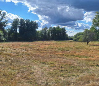  Terrain � vendre 2466 m�