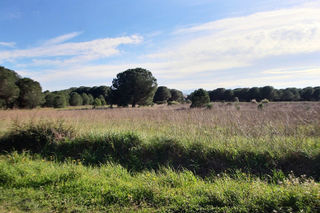  Terrain � vendre 564 m�