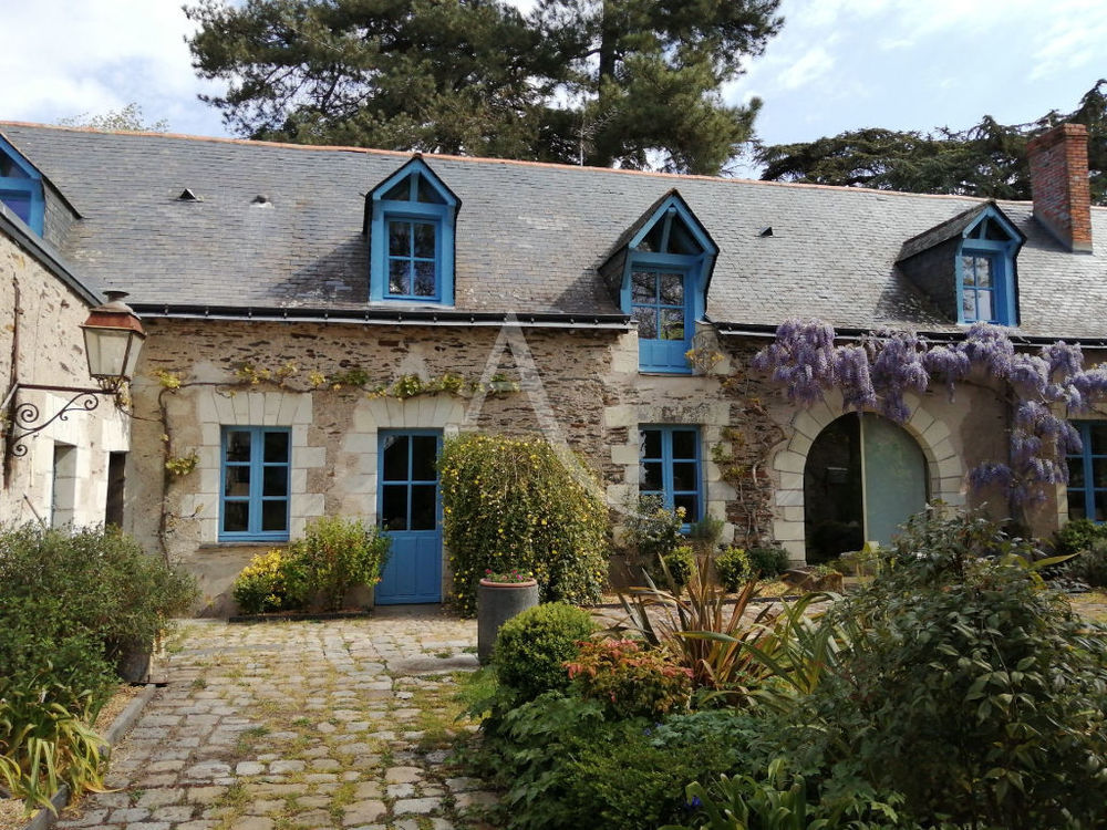 Maison 4 chambres a louer Sainte-Gemmes-sur-Loire