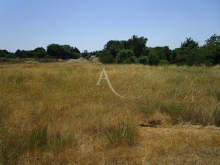  Terrain � vendre 1301 m�