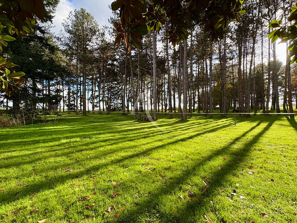 � vendre  Maison Saint-Georges-sur-Cher (41400)