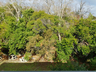  Appartement � vendre 2 pi�ces 37 m�