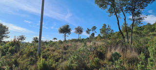  Terrain � vendre 2 m�