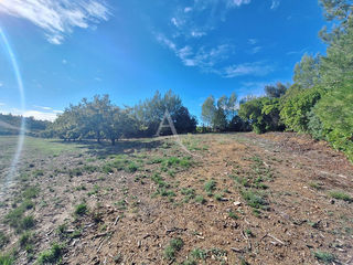  Terrain � vendre 11388 m�