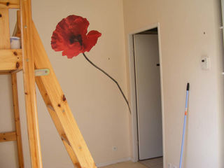  Appartement � louer 1 pi�ce 21 m�