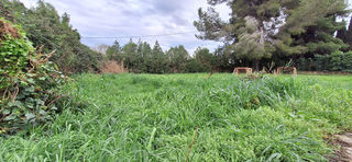  Terrain � vendre 700 m�