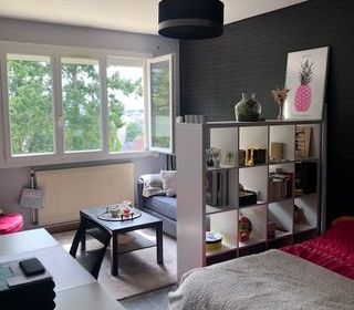  Appartement � louer 1 pi�ce 35 m�