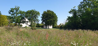  Terrain � vendre 555 m�