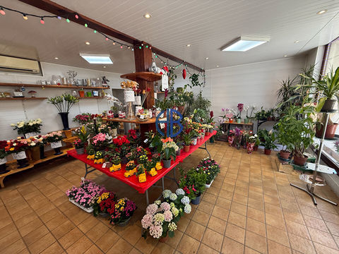 Fonds de commerce Saint Simeon De Bressieux 60 m2 60000 38870 Saint simeon de bressieux