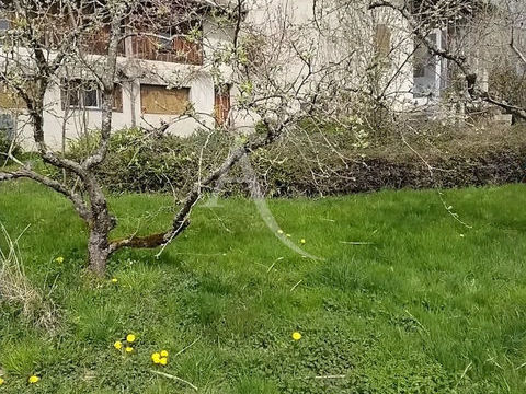   En vente AUGEROLLES Maison 3 chambres terrain Maison - 5 pi�ce(s) - 100 m�