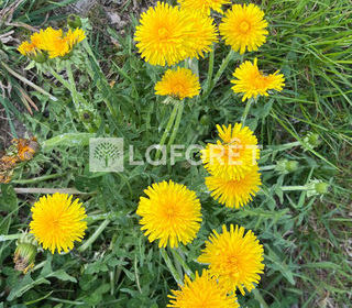  Terrain � vendre 2500 m�