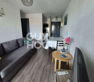  Appartement � louer 3 pi�ces 41 m�