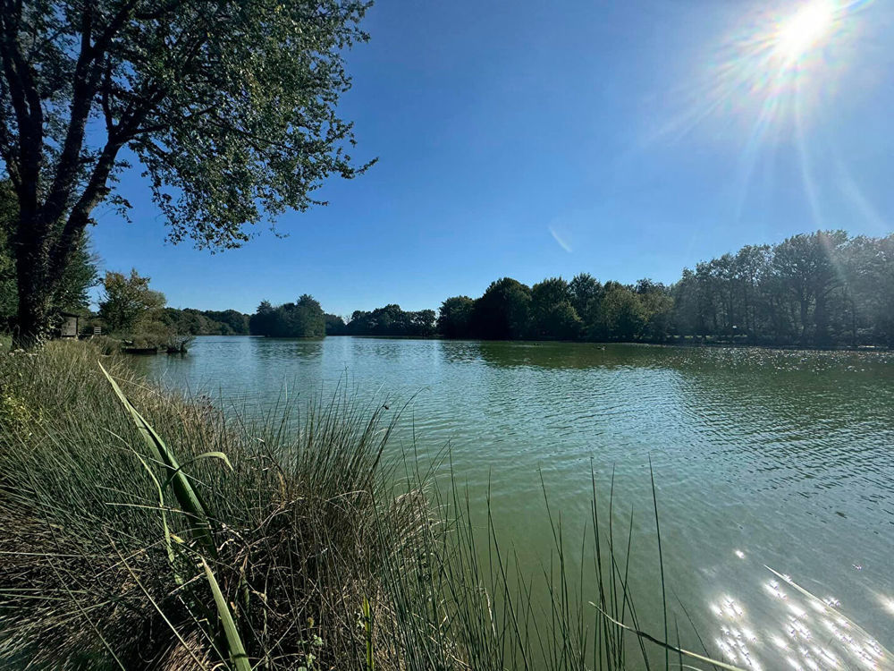 � vendre  Maison L'Isle-Jourdain (86150)