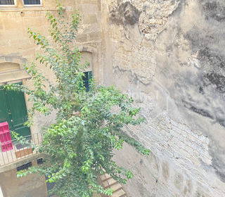  Appartement � louer 3 pi�ces 50 m�