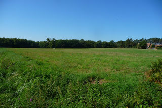  Terrain � louer 61198 m�