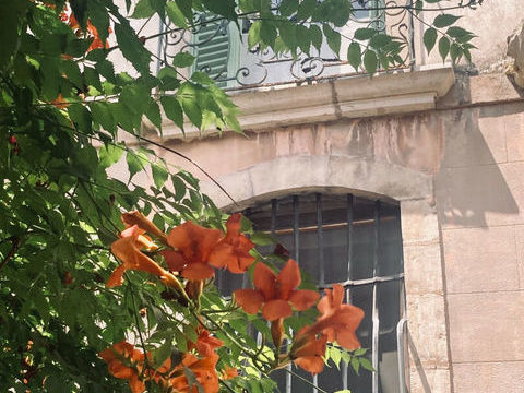   Maison Pignans - Habitat Partag� - 10 pi�ce(s) 380 m2 Maison - 10 pi�ce(s) - 380 m�