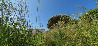  Terrain � vendre 555 m�