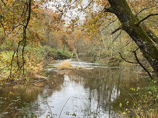  Terrain � vendre 243800 m�