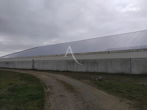 Entrep&ocirc;t / local industriel Chavagnes 1440 m2 4000 49380 Terranjou