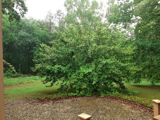  Terrain � vendre 1 pi�ce 20 m�