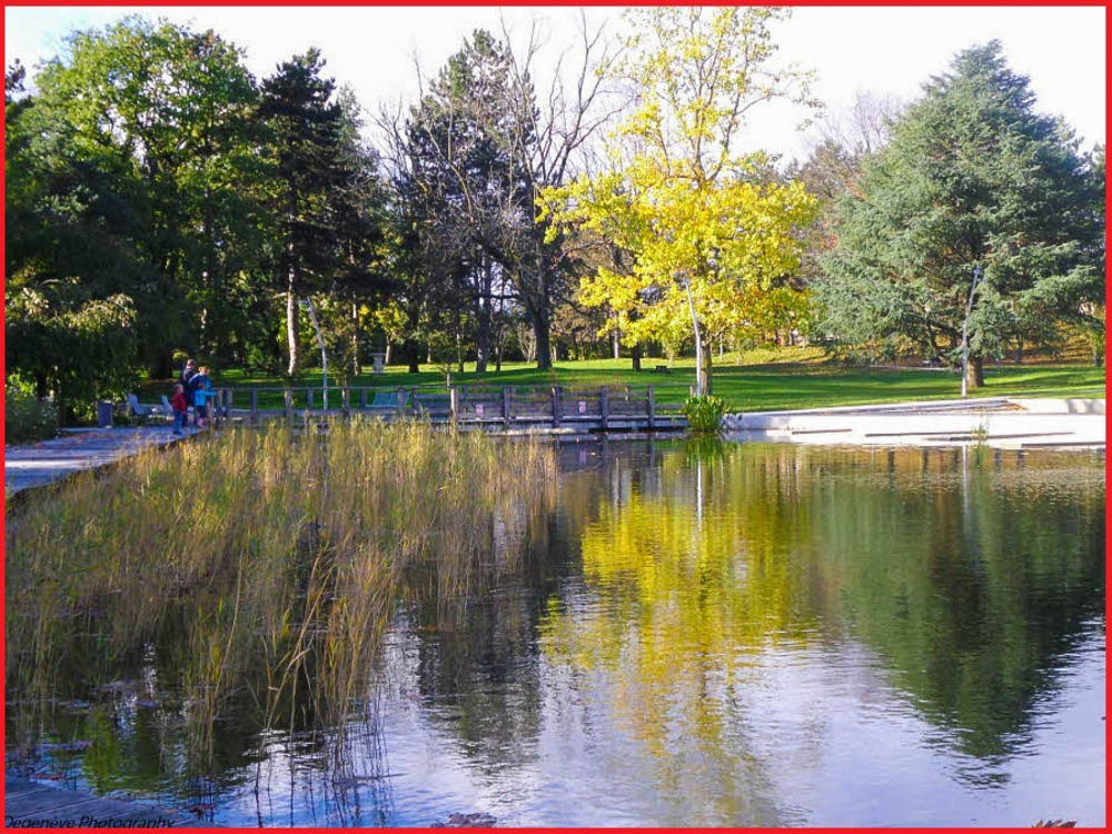 � vendre  Appartement Ambilly (74100)