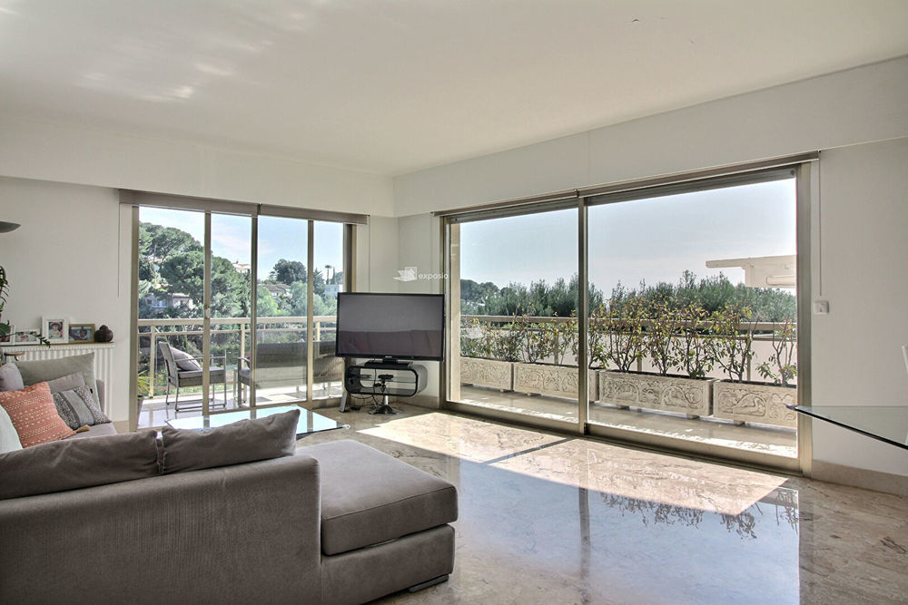 � vendre  Appartement Le Cannet (06110)